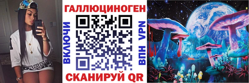 Галлюциногенные грибы Cubensis  Бирюч 